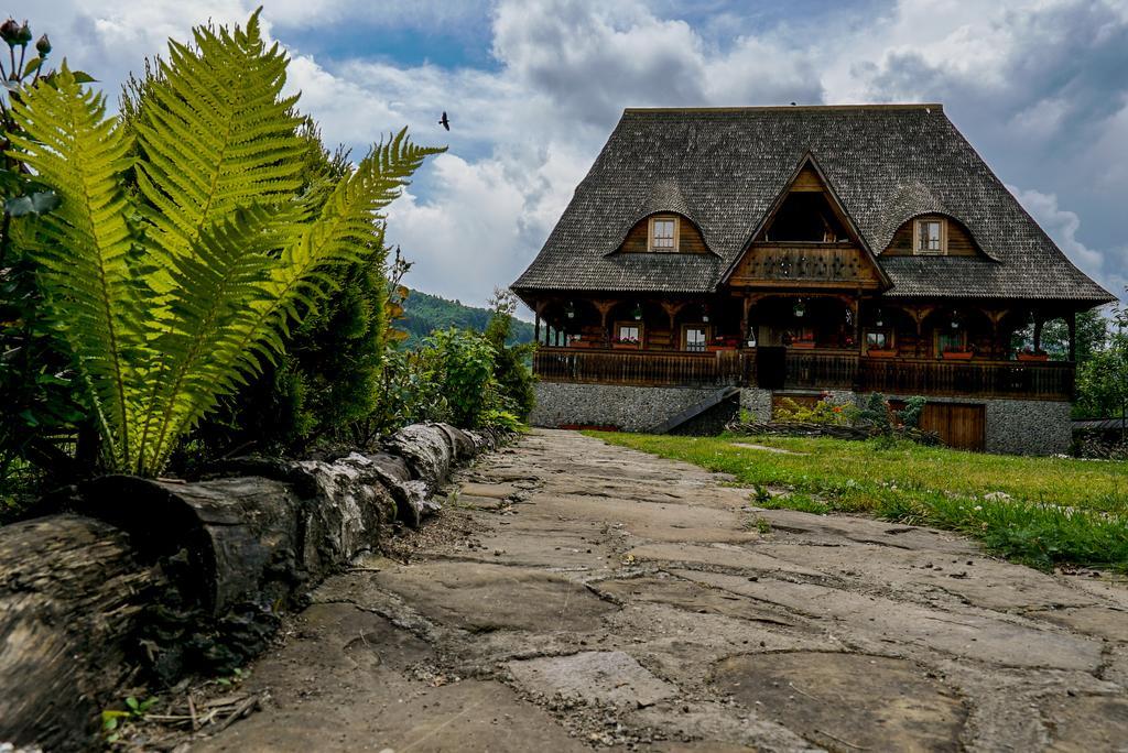 Casa Chira Hotel Vişeu de Sus Buitenkant foto