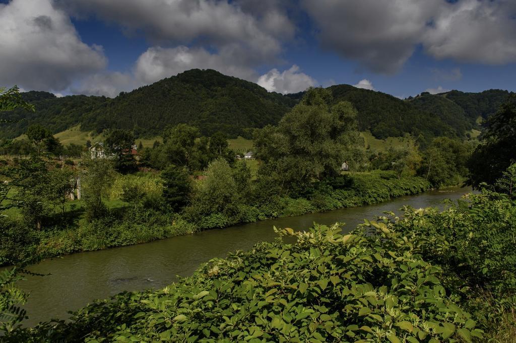 Casa Chira Hotel Vişeu de Sus Buitenkant foto