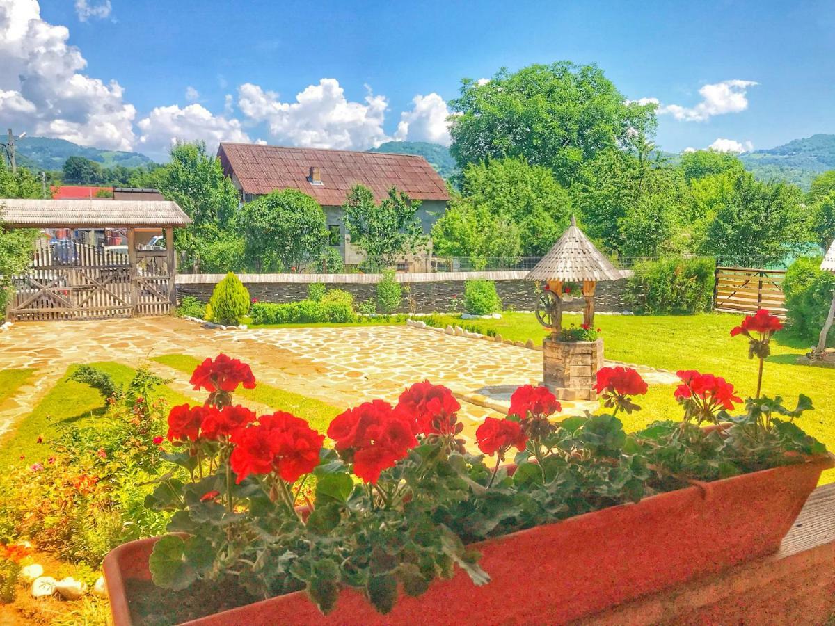 Casa Chira Hotel Vişeu de Sus Buitenkant foto